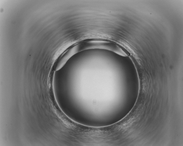 X0000086900885200704231150