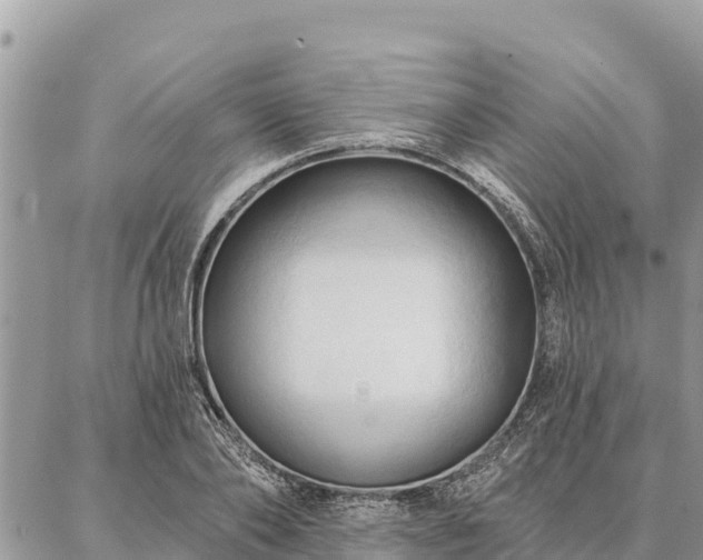 X0000086900886200704231150