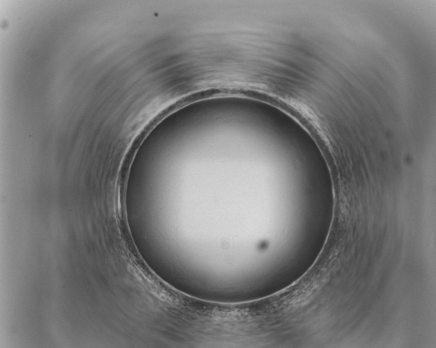 X0000086900887200704231150