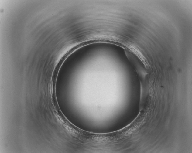 X0000086900888200704231150