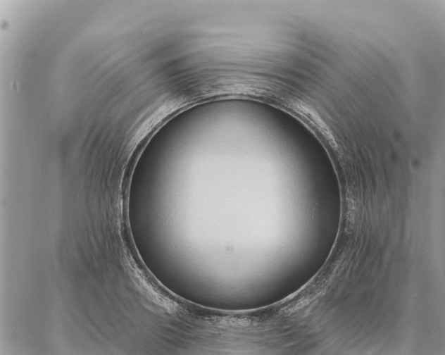 X0000086900890200704231150