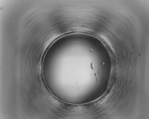 X0000086900891200704231150