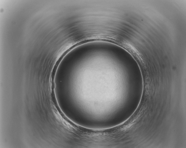 X0000086900892200704231150