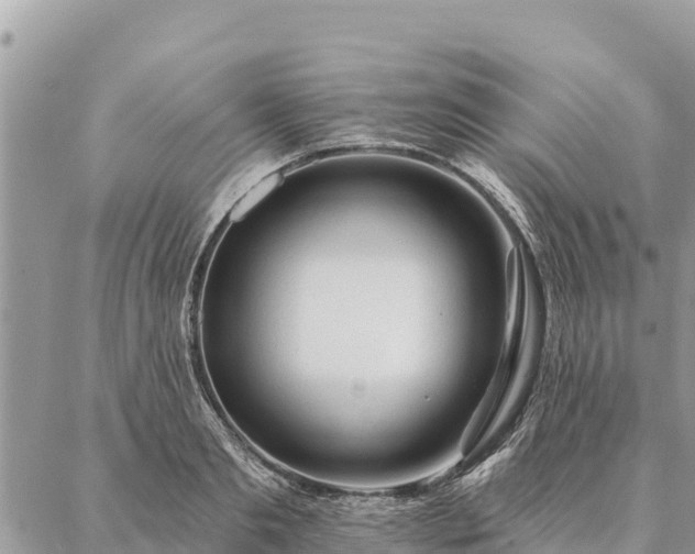 X0000086900893200704231150