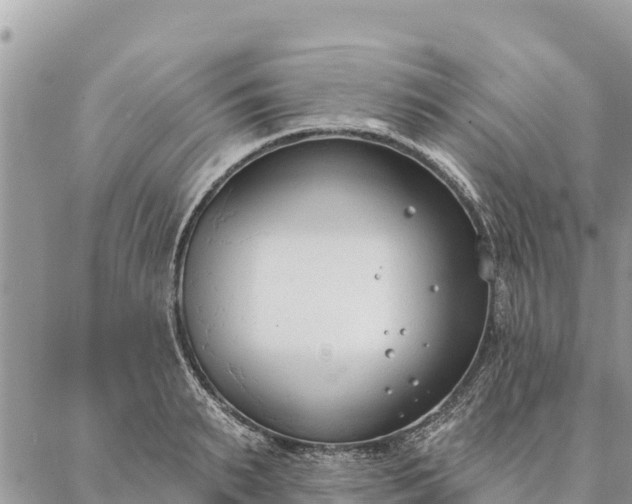 X0000086900895200704231150