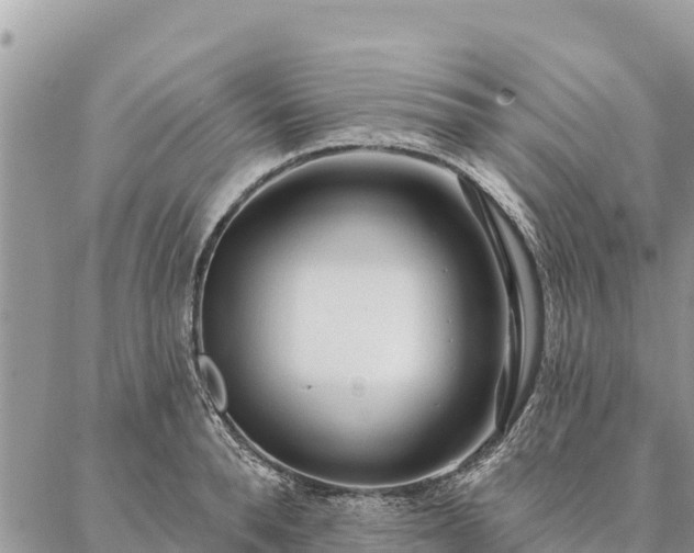 X0000086900896200704231150