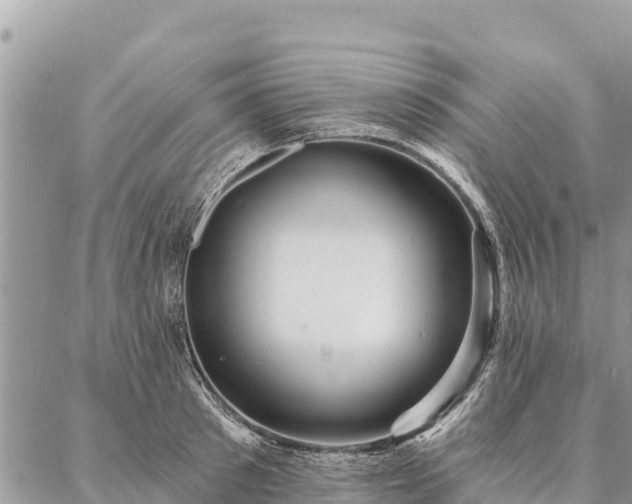 X0000086900897200704231150