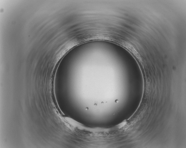 X0000086900898200704231150