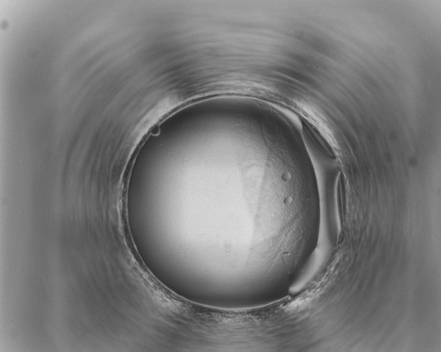 X0000086900899200704231150