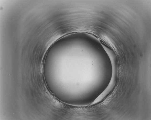 X0000086900900200704231150