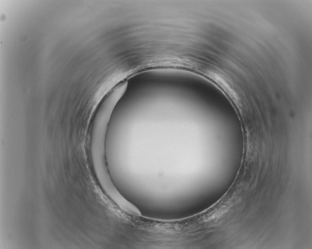 X0000086900901200704231150