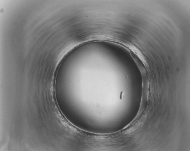 X0000086900904200704231150