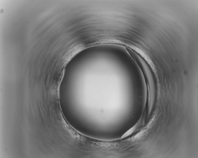 X0000086900905200704231150