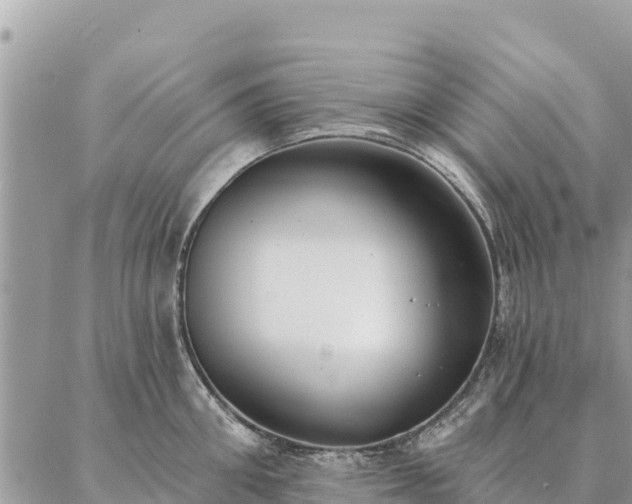 X0000086900906200704231150