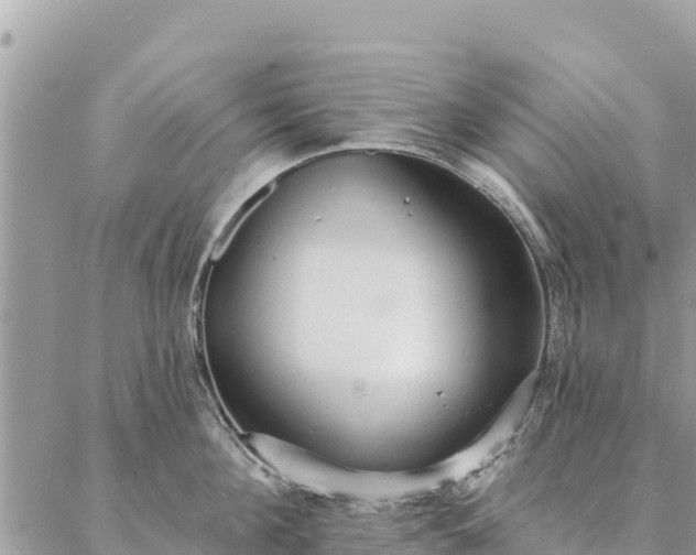 X0000086900908200704231150