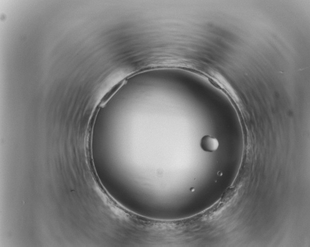 X0000086900909200704231150