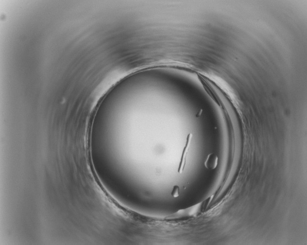 X0000086900910200704231150