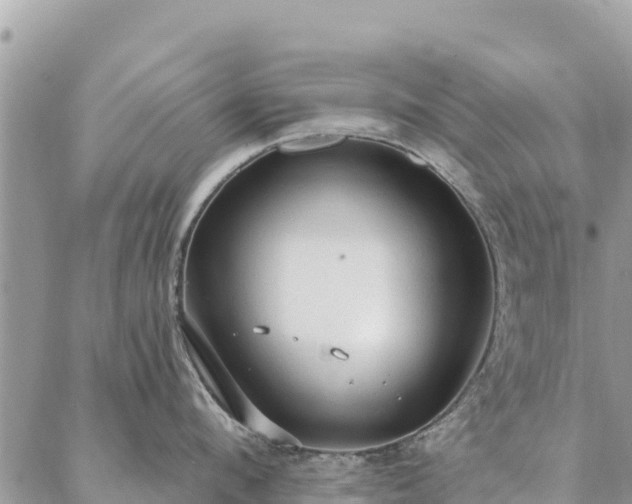 X0000086900912200704231150