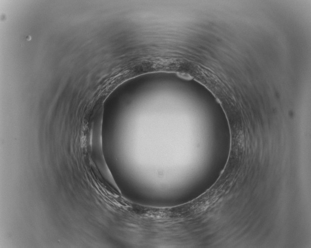 X0000086900914200704231149