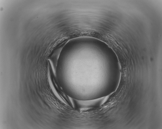 X0000086900916200704231149