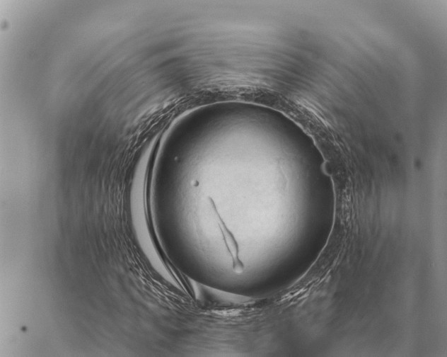 X0000086900917200704231149