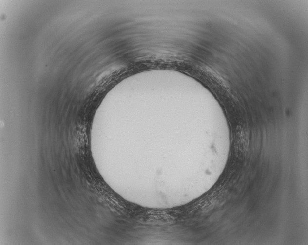 X0000086900918200704231149