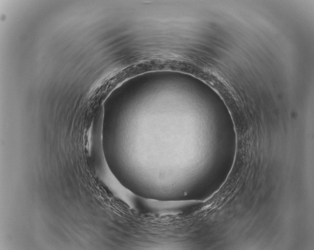 X0000086900919200704231149