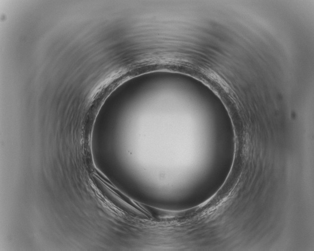 X0000086900922200704231149