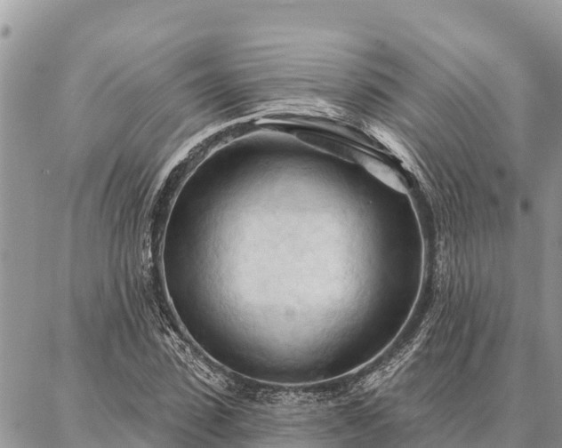 X0000086900923200704231149