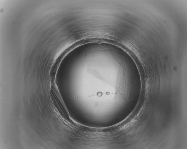 X0000086900925200704231149