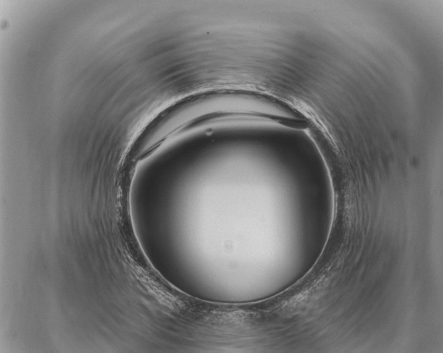 X0000086900926200704231149