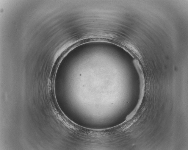 X0000086900928200704231149