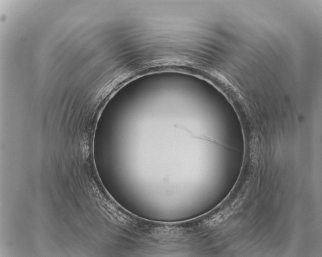 X0000086900929200704231149