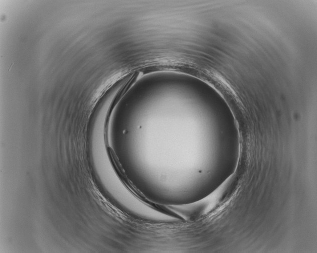 X0000086900930200704231149