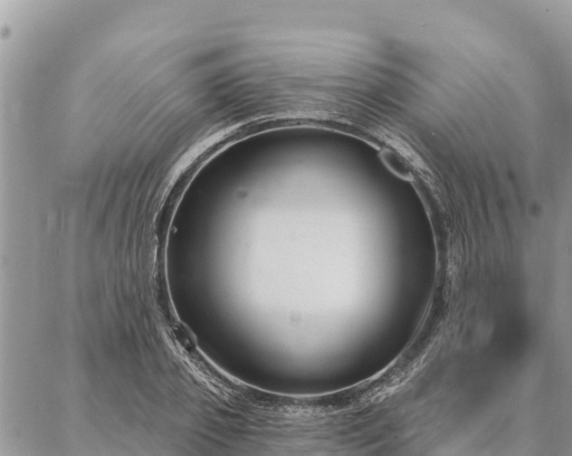 X0000086900933200704231149