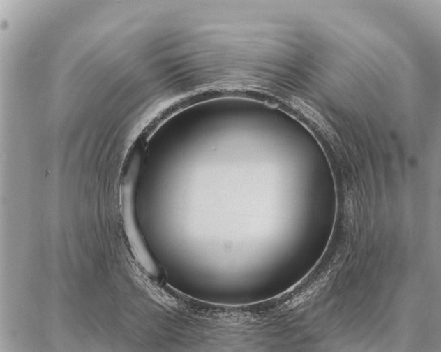 X0000086900934200704231149