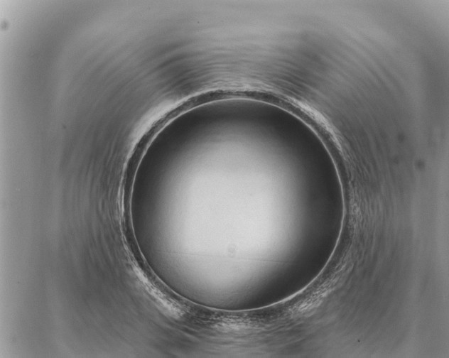 X0000086900935200704231149