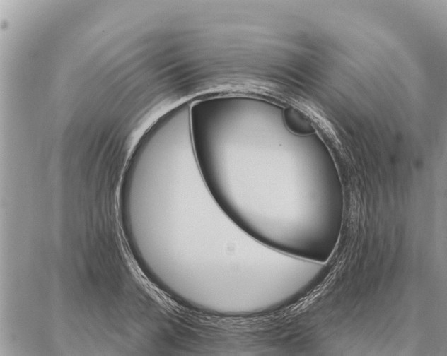 X0000086900936200704231149