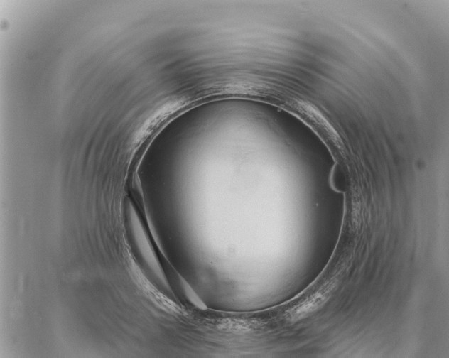 X0000086900938200704231149