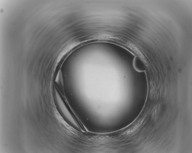 X0000086900939200704231149