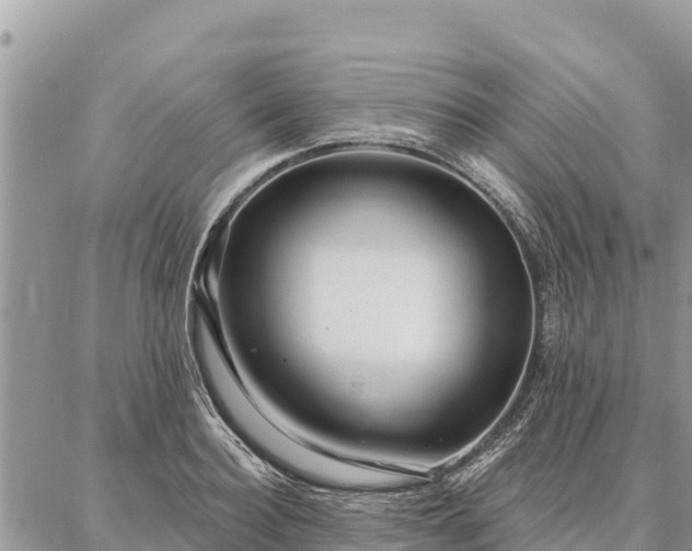 X0000086900940200704231150