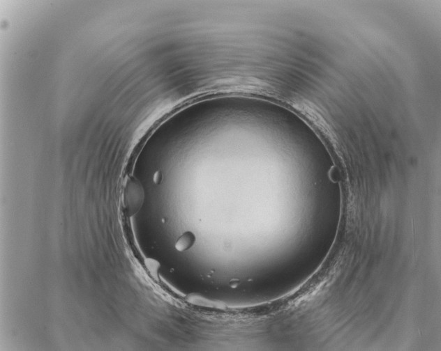 X0000086900941200704231150