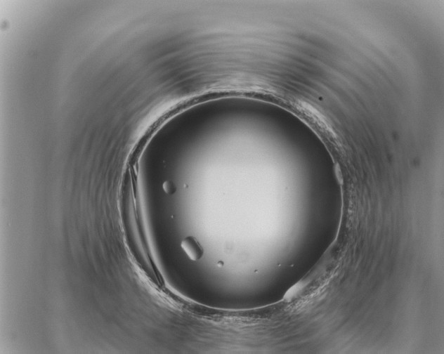 X0000086900942200704231150