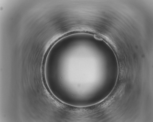 X0000086900943200704231150