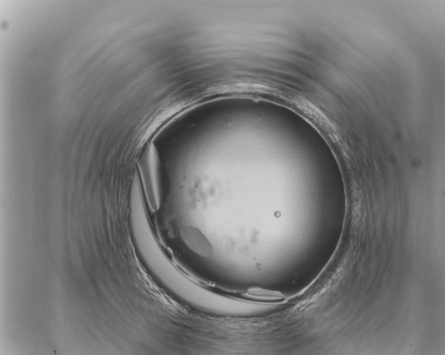 X0000086900945200704231150