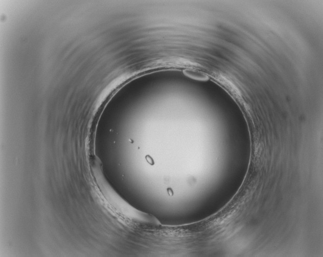 X0000086900947200704231150