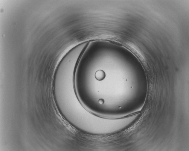 X0000086900948200704231150