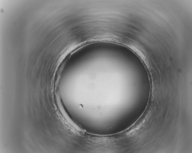 X0000086900949200704231150