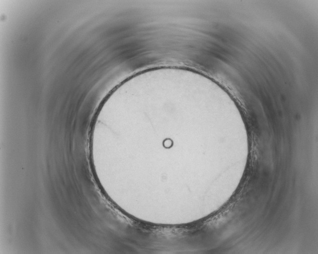 X0000086900950200704231150