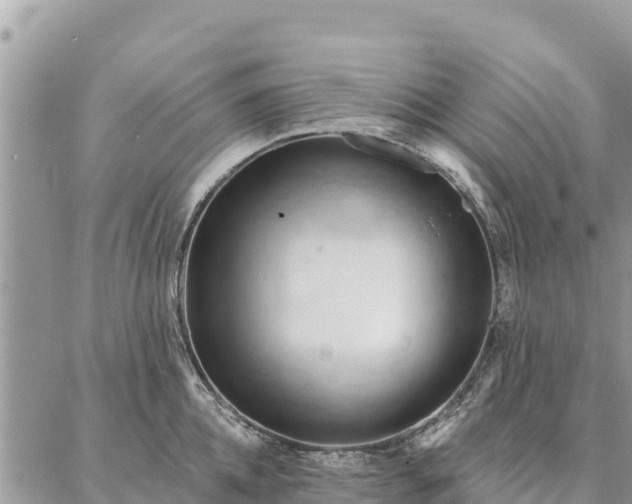 X0000086900952200704231150